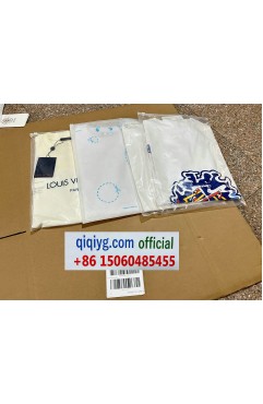 qiqiyg.com louis vuitton damier ebene canvas speedy 30 the timeless travel companion 2026 quiet status icon